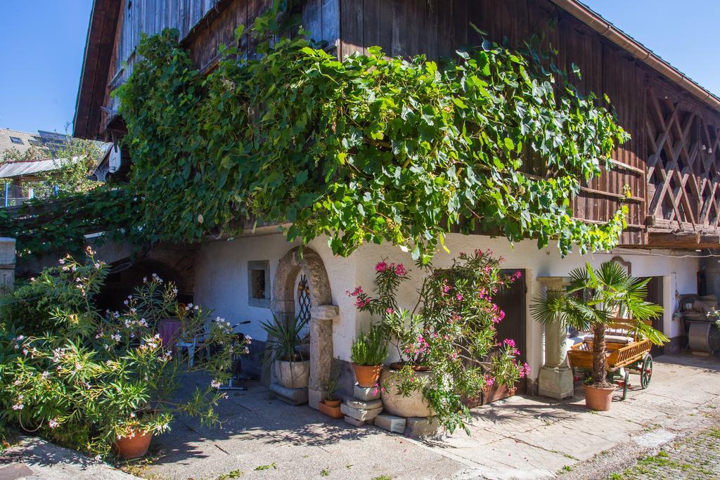 Bio Turisticna Kmetija Frcej-Zupan Villa Bled Eksteriør bilde